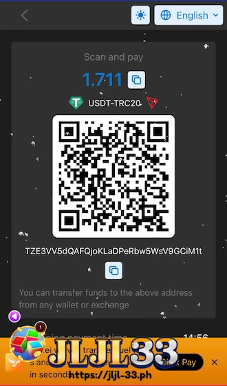 Step 3: The website will switch to the USDT deposit interface. Open your cryptocurrency wallet and make the payment by scanning the QR code.